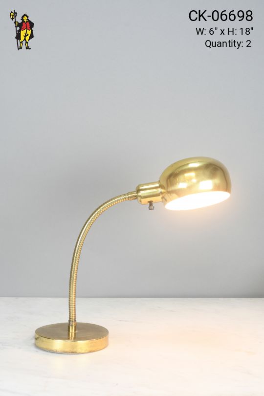 Brass Gooseneck Desk Lamp