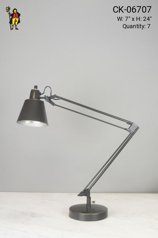 Adjustable Bronze Desk Lamp