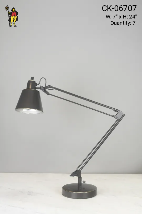 Adjustable Bronze Desk Lamp
