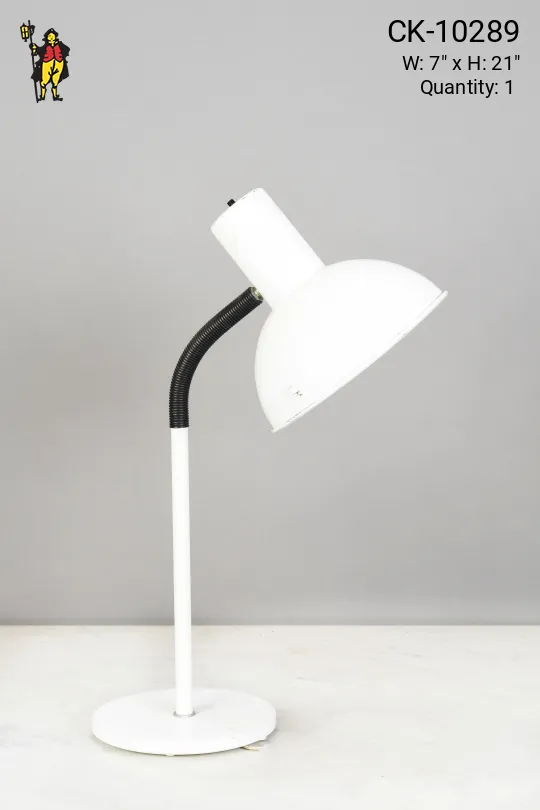 White Gooseneck Desk Lamp