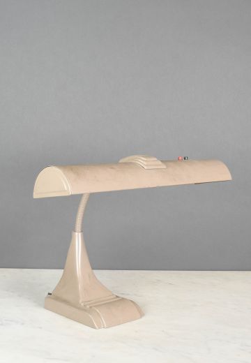 Adjutable Gooseneck Fluorescent Desk Lamp