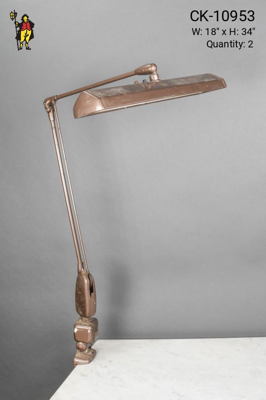 Adjustable Large Fluorescent Clamp Desk Lamp