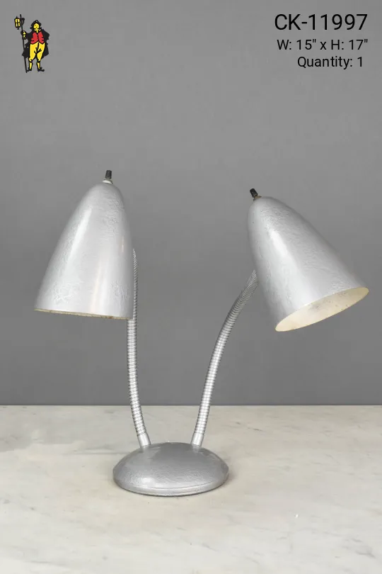 Two Light Silver Gooseneck Desk Lamp