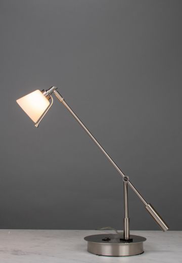 Adjustable Silver Desk Lamp w/Frosted Shade