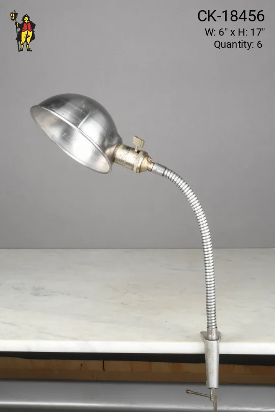 Nickel Clamp Gooseneck Desk Lamp w/Metal Shade