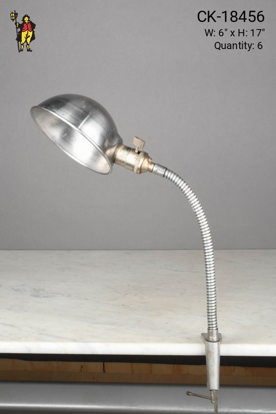 Nickel Clamp Gooseneck Desk Lamp w/Metal Shade