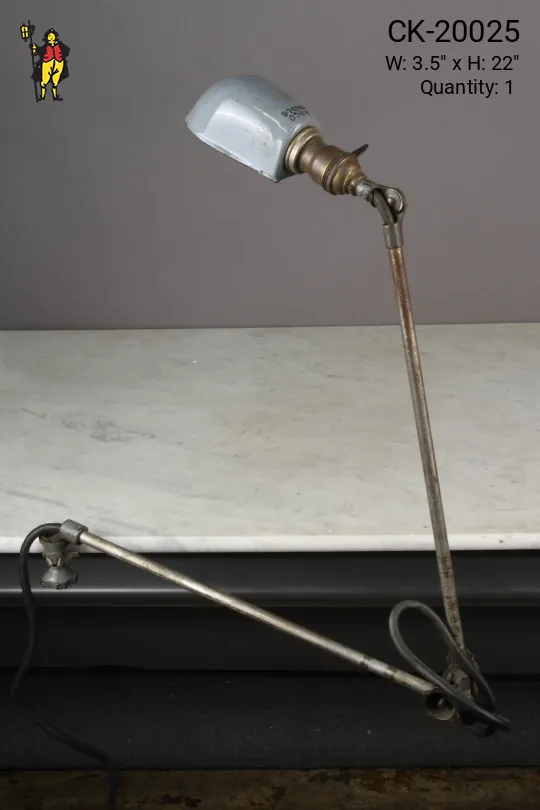 Metal Vertically Clamped Adjustable Desk Lamp