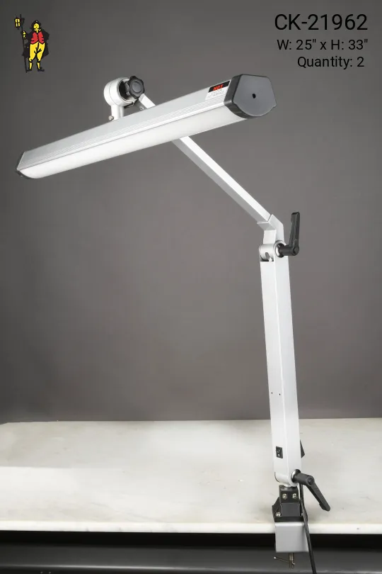 Nickel LED Articulating Clamp Desk Lamp