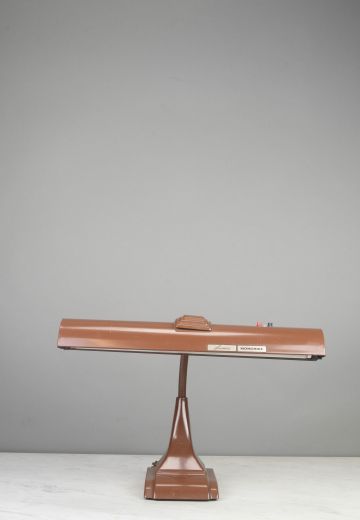 Brown Fluorecent Adjustable Desk Lamp