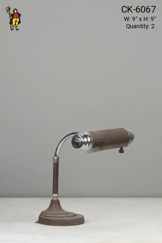 Adjustable Small Desk Lamp