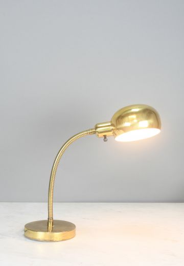 Brass Gooseneck Desk Lamp