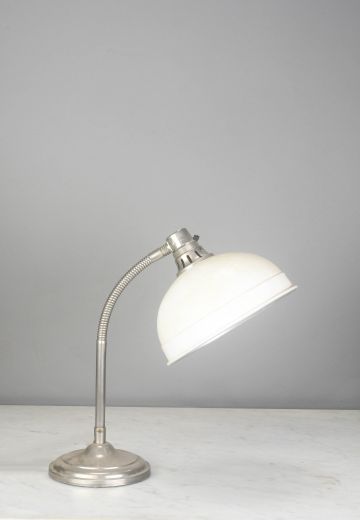 Goosneck Adjustable Desk Lamp