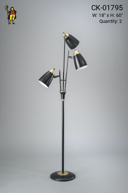 Three Light Black Floor Lamp w/Bullet Reflectors