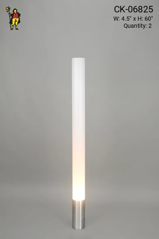 Contemporary 60" Floor Lamp
