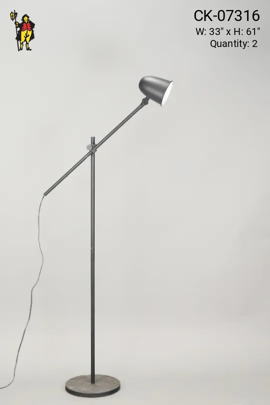 Adustable Black Floor Lamp