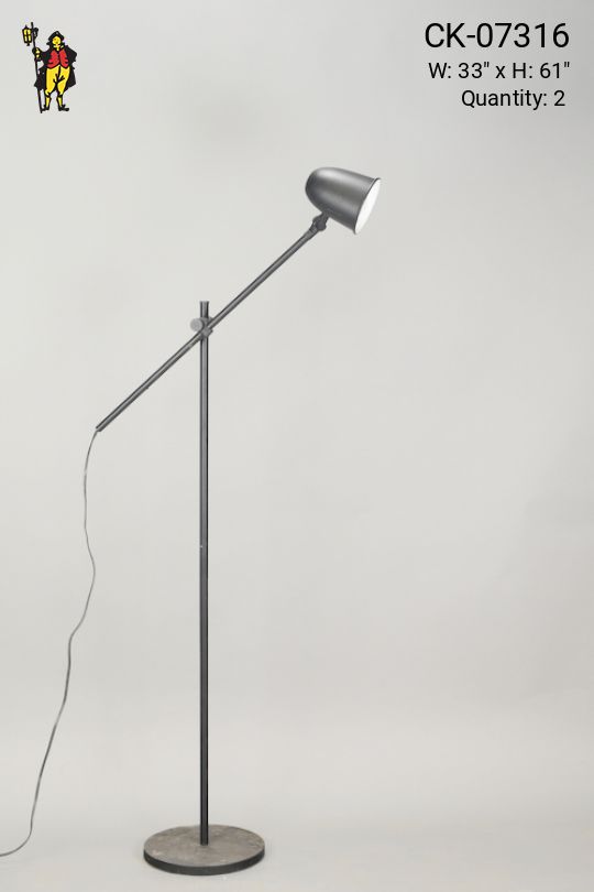 Adustable Black Floor Lamp