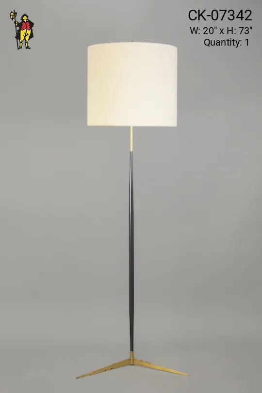 Modern Black & Brass Floor Lamp