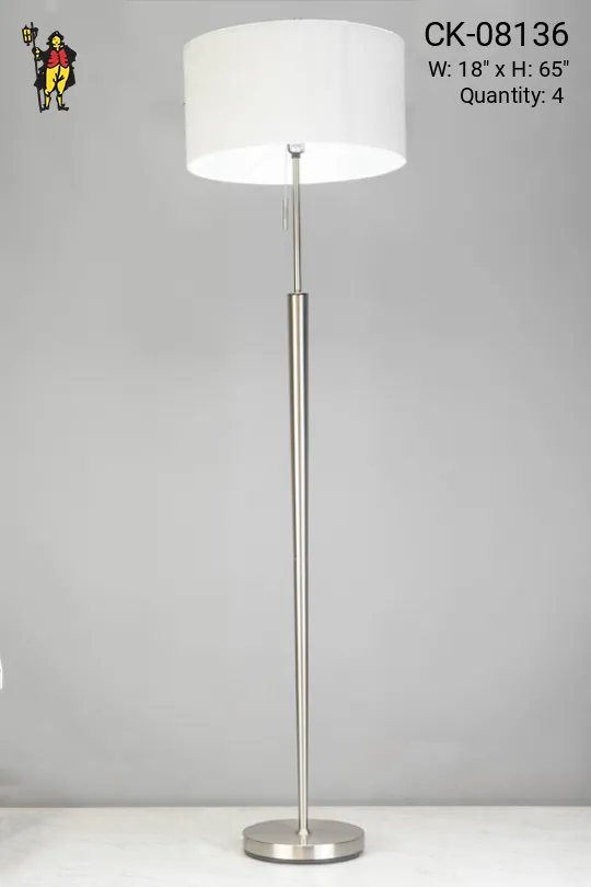 Modern Silver Floor Lamp