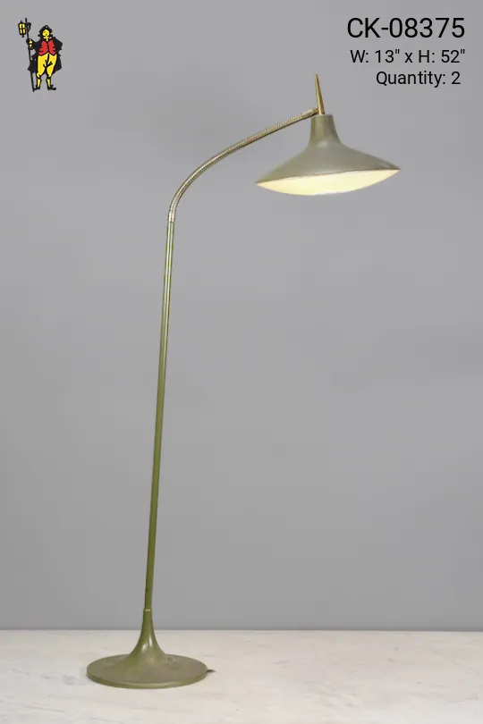 Gio Ponti Style Floor Lamp