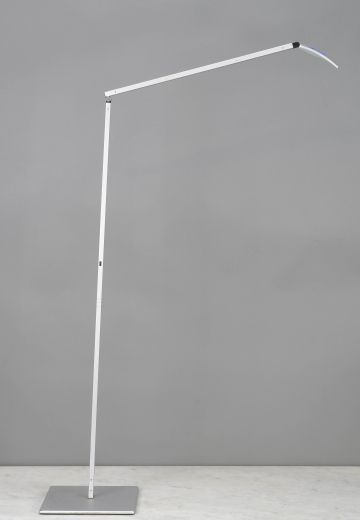 Adjustable LED Floor Lamp