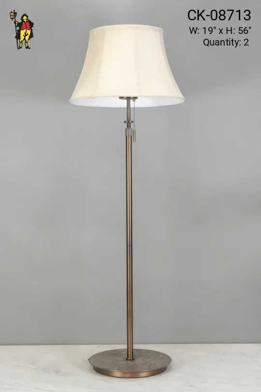 Bronze Floor Lamp