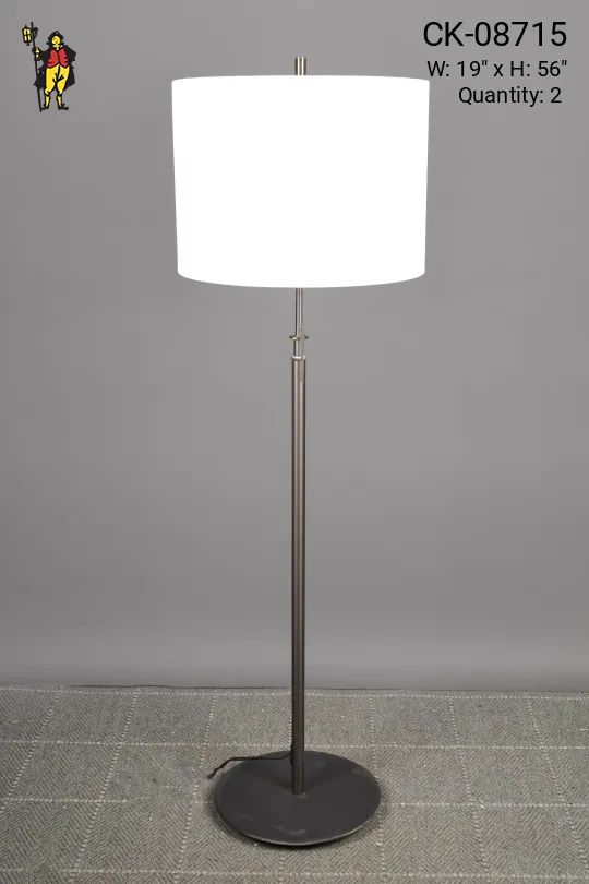 Bronze Finished Floor Lamp