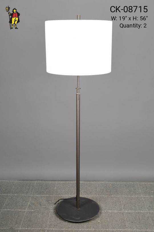Bronze Finished Floor Lamp