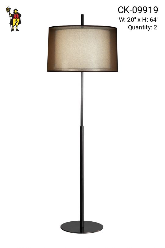 Contemporary Bronze Floor Lamp