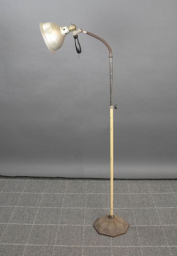 Industrial Gooseneck Floor Lamp w/Detachable Spotlight