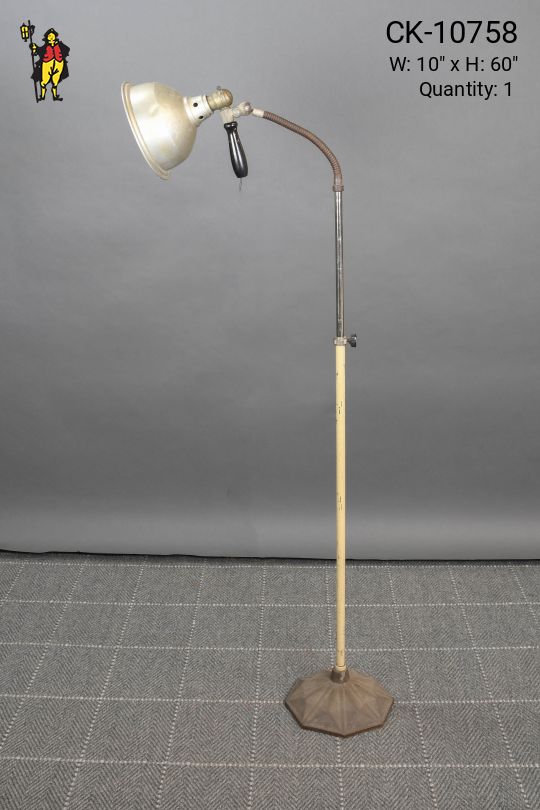 Industrial Gooseneck Floor Lamp w/Detachable Spotlight