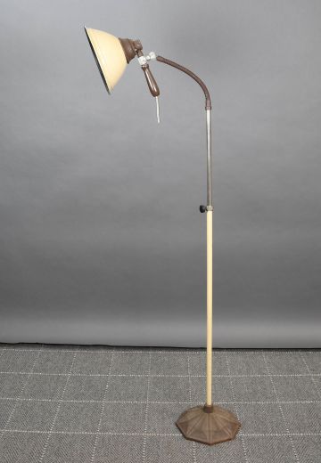 Industrial Gooseneck Floor Lamp w/Detachable Spotlight