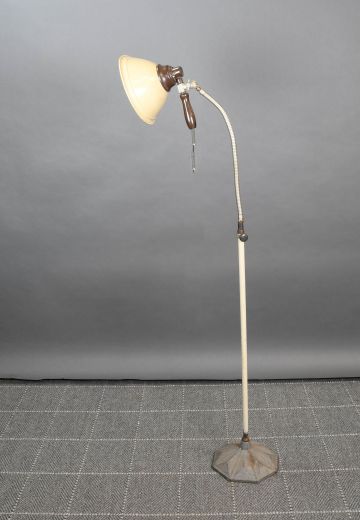 Industrial Gooseneck Floor Lamp w/Detachable Spotlight