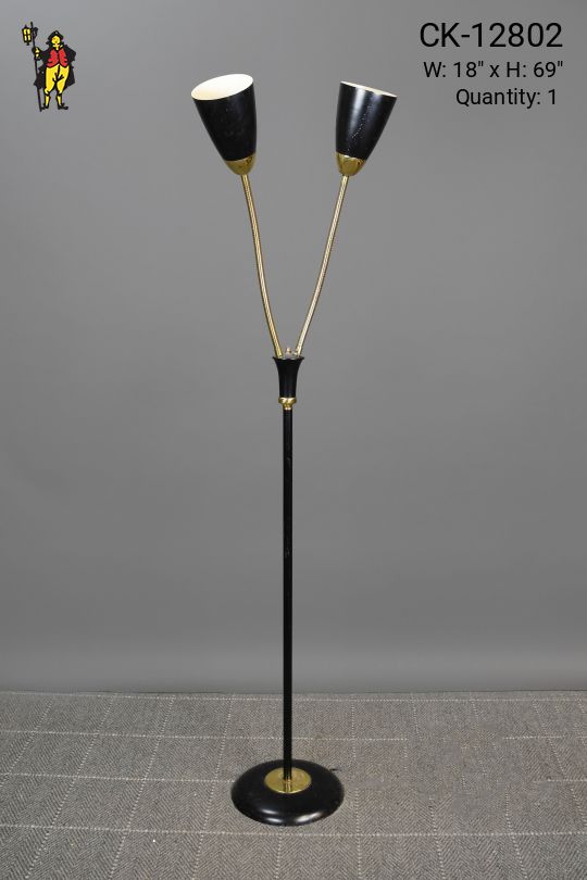 Mid Century Adjustable Directional Black & Brass Floor Lamp