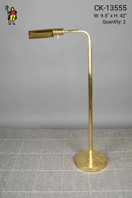 Polished Brass Reading Floor Lamp