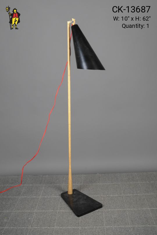 Black Single Light Directional Floor Lamp
