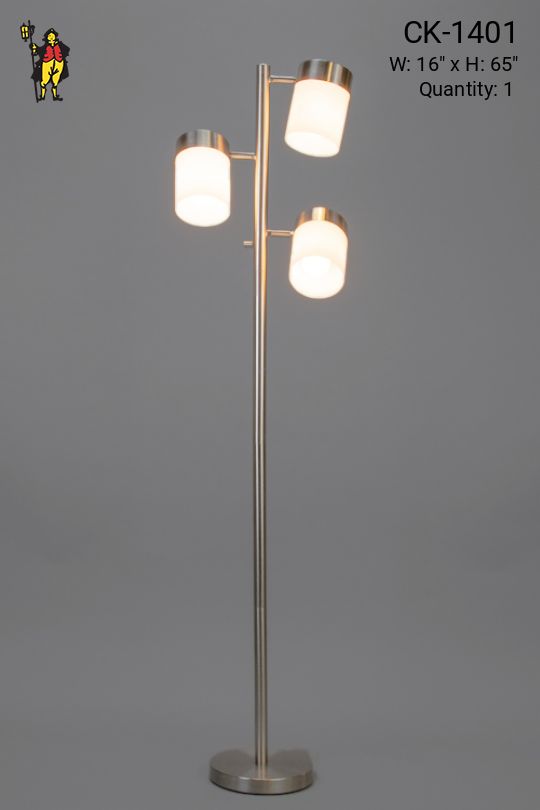 Three Light Floor Lamp w/Frosted Glass Shades
