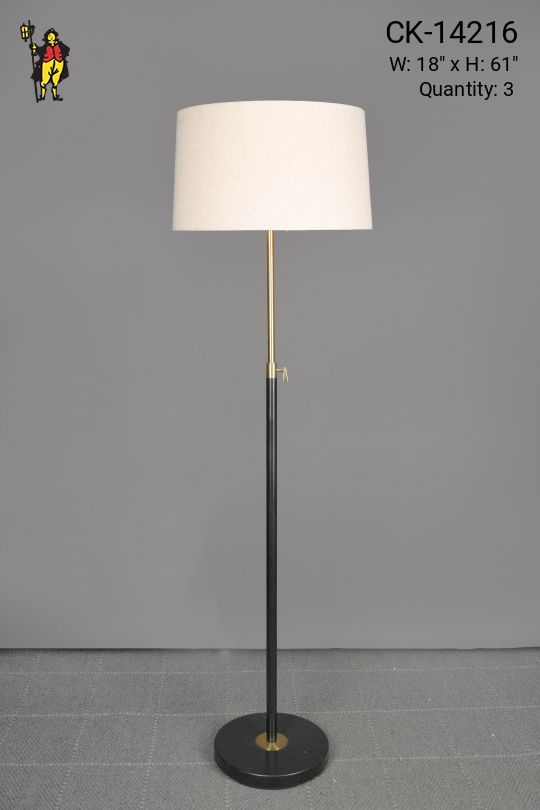 Black & Brass Adjustable Floor Lamp