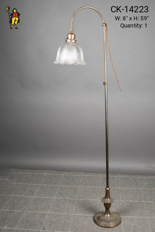 Bronze Single Down Light Floor Lamp