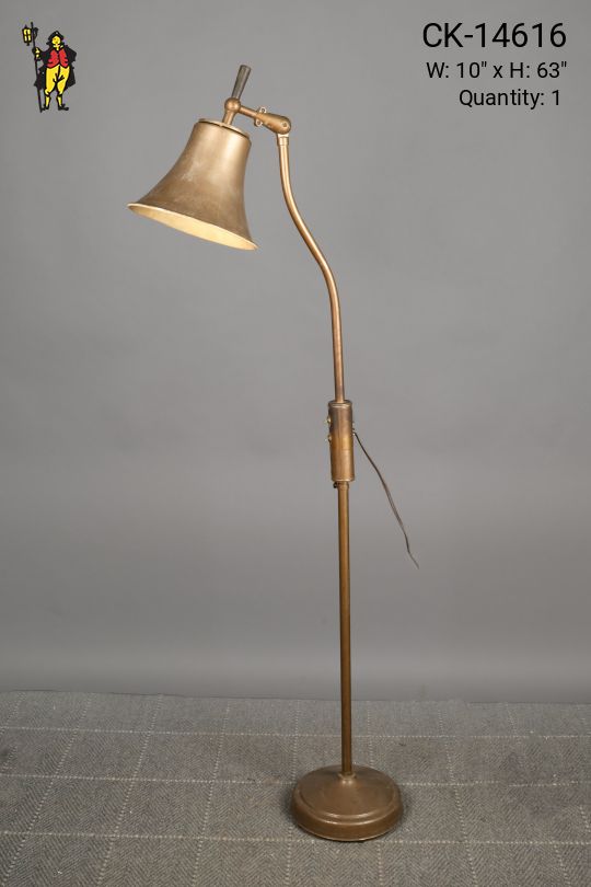 Metal Shaded Bronze Reading Floor Lamp