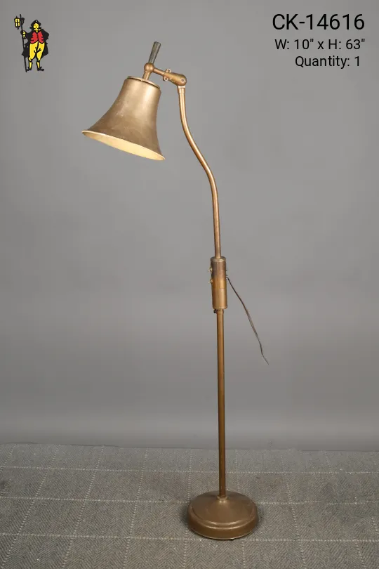 Metal Shaded Bronze Reading Floor Lamp