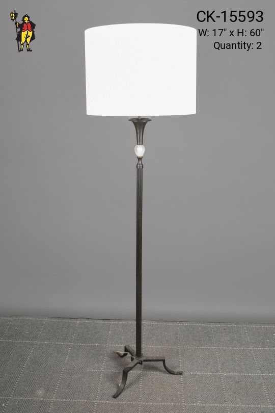 Traditional Bronze Footed Floor Lamp