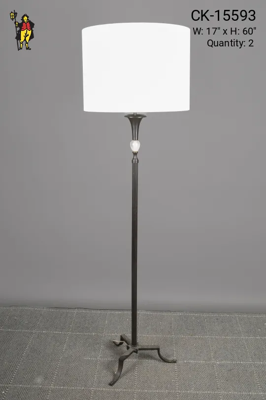Traditional Bronze Footed Floor Lamp