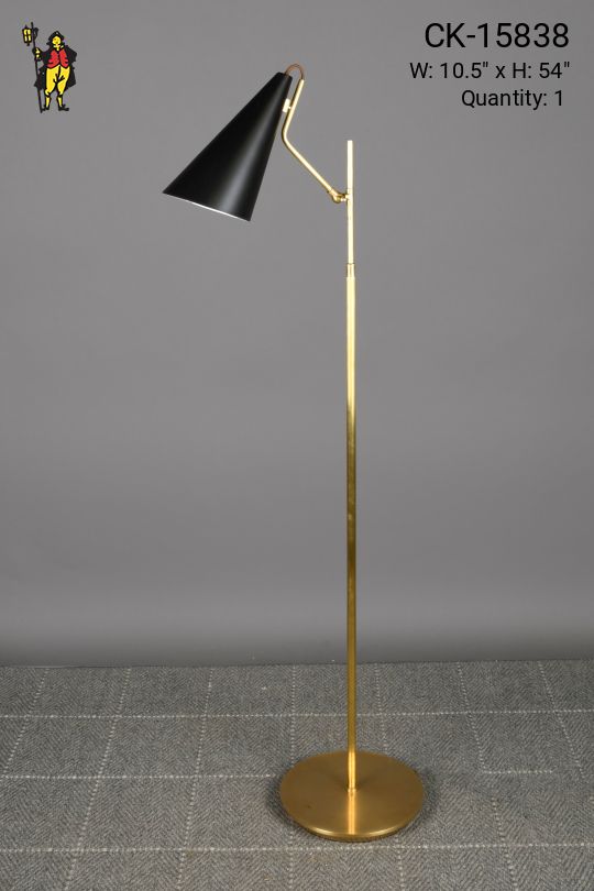 Brass & Black Directional Floor Lamp