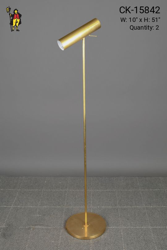 Brass Directional Reading Floor Lamp