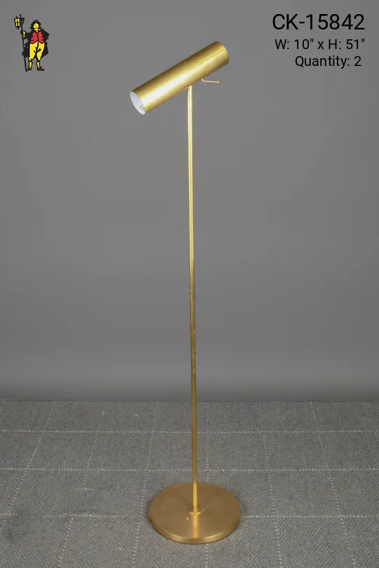 Brass Directional Reading Floor Lamp
