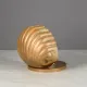 Distressed Plastic Clamshell Footlight #1