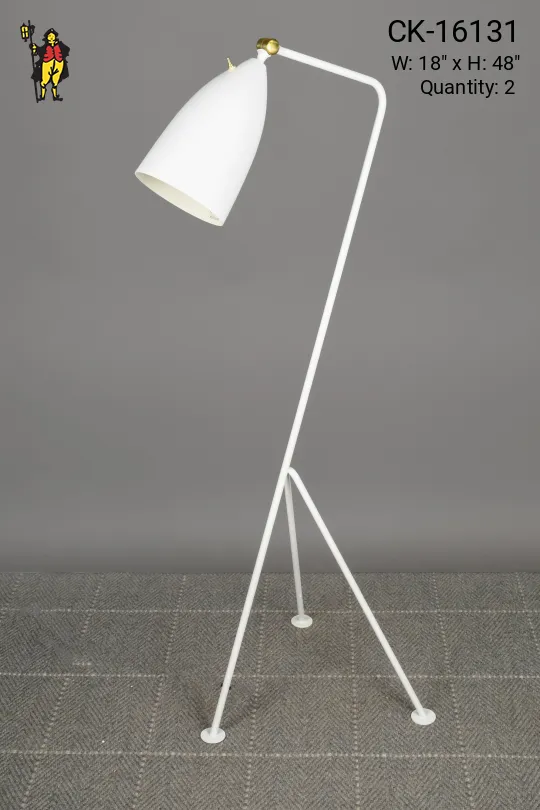 White Directional Reading Floor Lamp