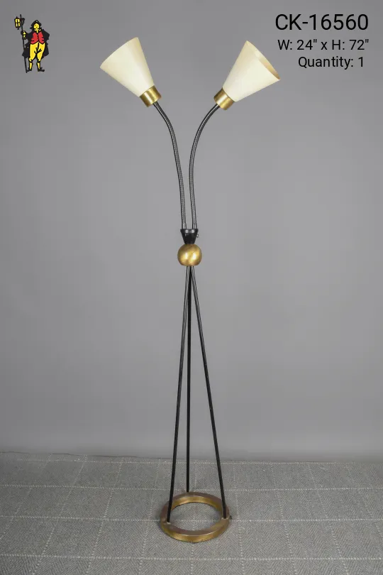 Black Two Light Gooseneck Mid Century Floor Lamp