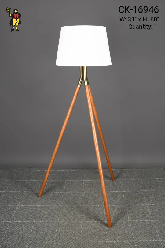 Wood & Brass Modern Tripod Floor Lamp