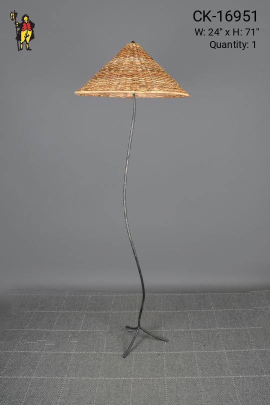 Metal Three Footed Whimsical Floor Lamp